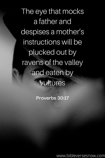 Proverbs 30_17