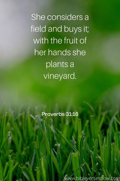 Proverbs 31_16