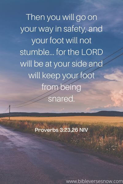 Proverbs 3_23,26 NIV