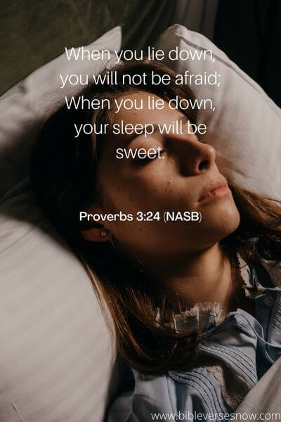 Proverbs 3_24 (NASB)