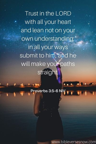 17 Inspiring Bible Verses For Pilots Proverbs 3_5-6 NIV