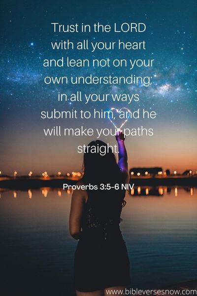 Proverbs 3_5-6 NIV