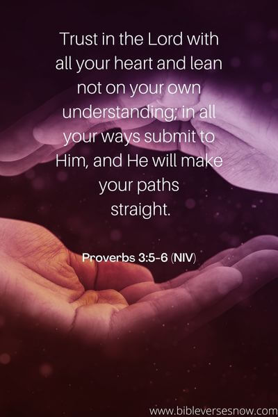 Proverbs 3_5-6 (NIV)