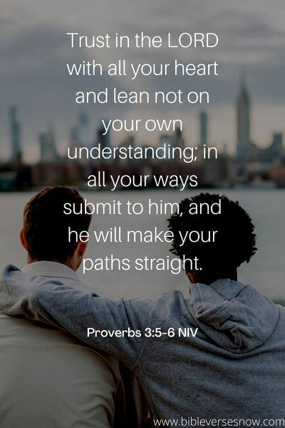 Proverbs 3_5-6 NIV