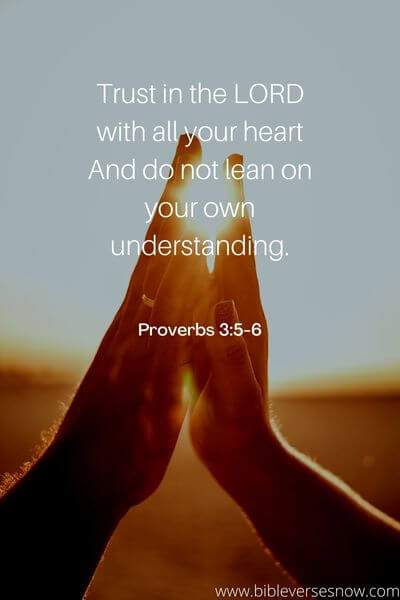 Proverbs 3_5-6