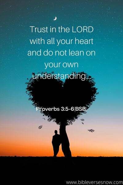 Proverbs 3_5-6(BSB)
