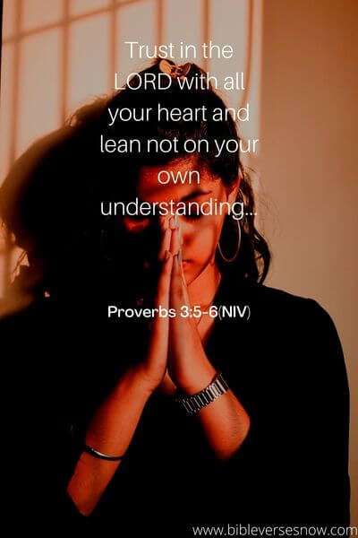 Proverbs 3_5-6(NIV)