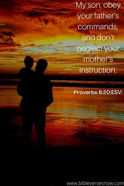 Proverbs 6_20(ESV)