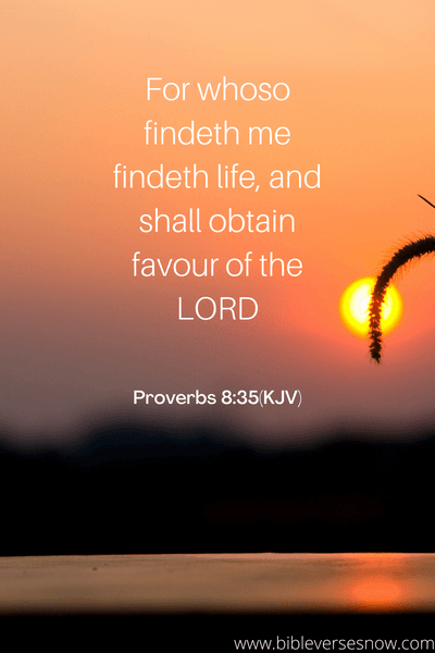 Proverbs 8_35(KJV)