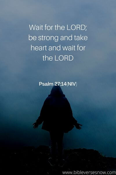 Psalm 27_14(NIV)