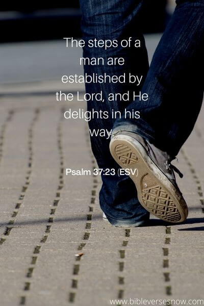 Psalm 37_23 (ESV)