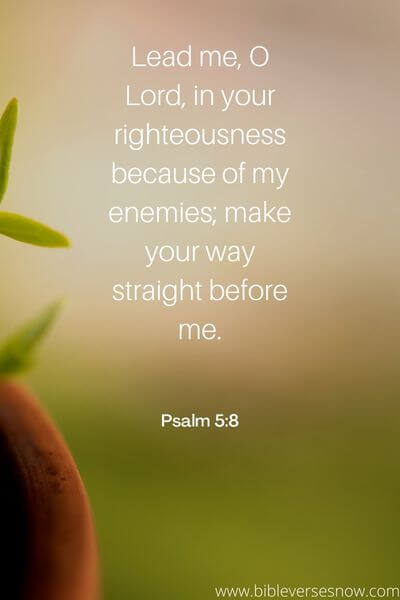 Psalm 5_8