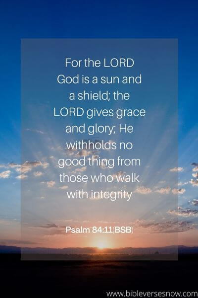 Psalm 84:11(BSB)