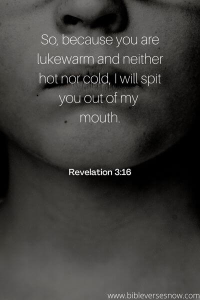 Revelation 3_16