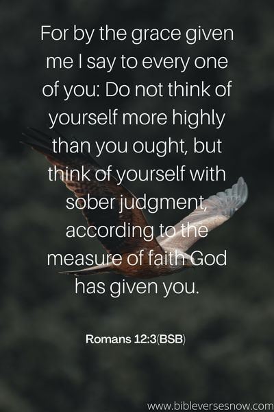 Romans 12_3(BSB) 