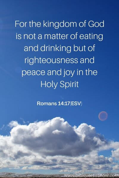 Romans 14_17(ESV)