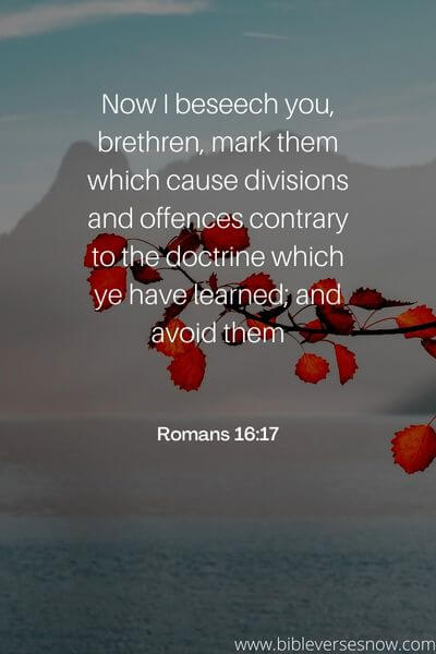 Romans 16_17