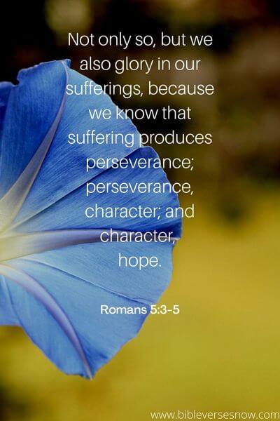 Romans 5_3-5 