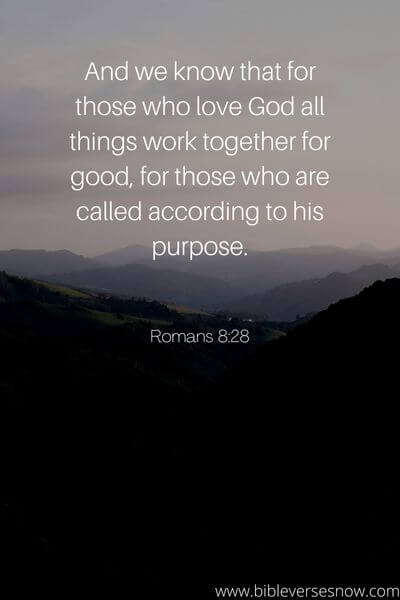 Romans 8_28