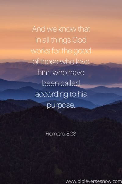 Romans 8_28