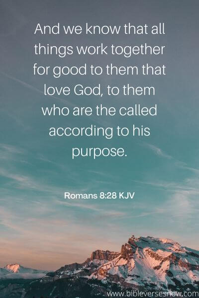 Romans 8_28 KJV