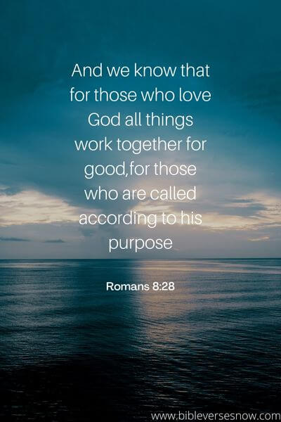 Romans 8_28