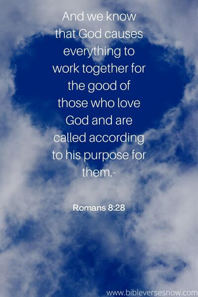 Romans 8_28(BLB)