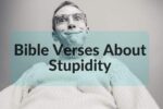 Bible verses about stupidity – Bible Verses of the day