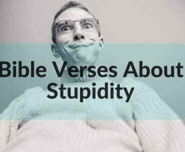 Bible verses about stupidity
