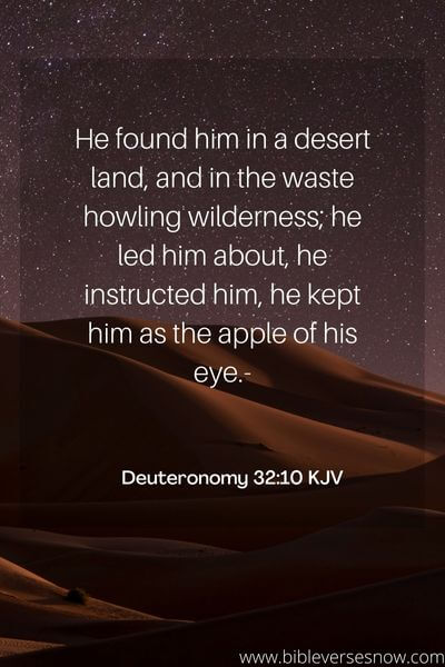 Deuteronomy 32_10 KJV