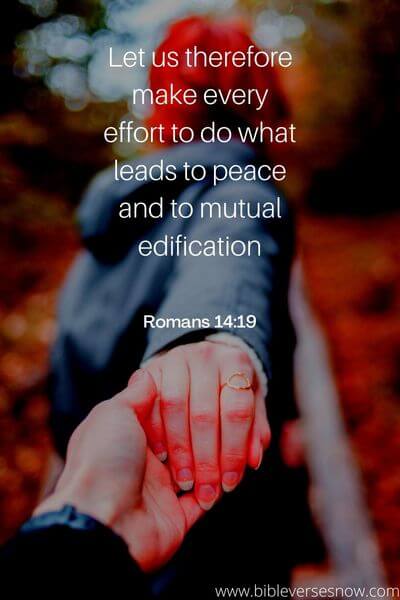 Romans 14_19