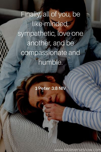 1 Peter 3_8 NIV