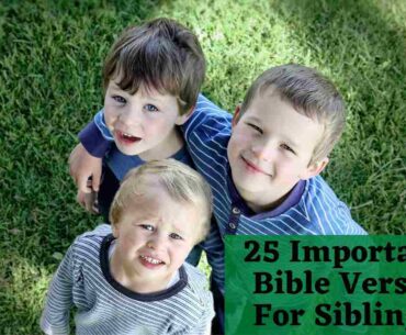 25 Important Bible Verses For Siblings