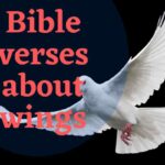 Bible verses about wings