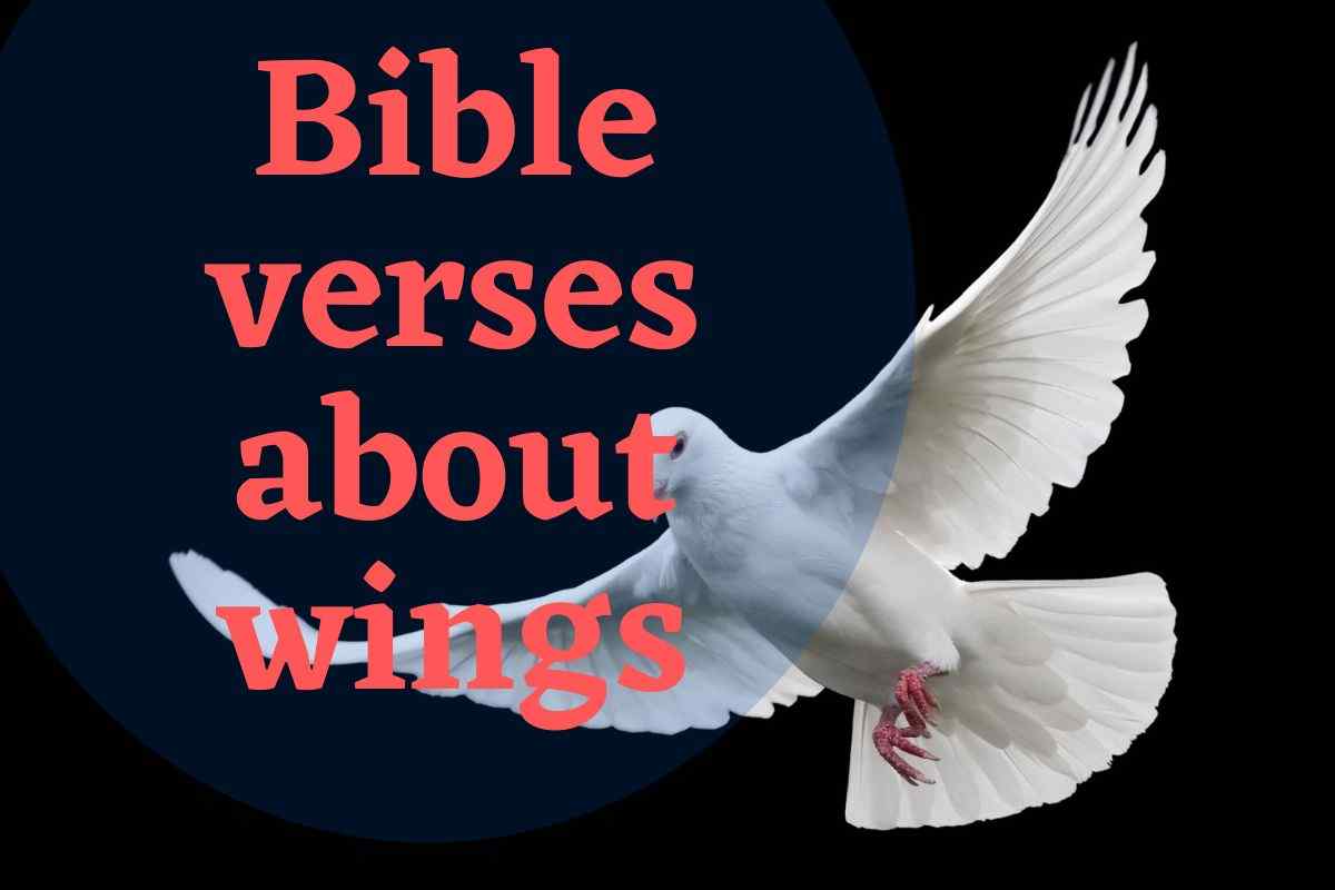 Bible verses about wings