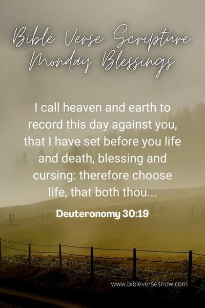 Deuteronomy 30_19
