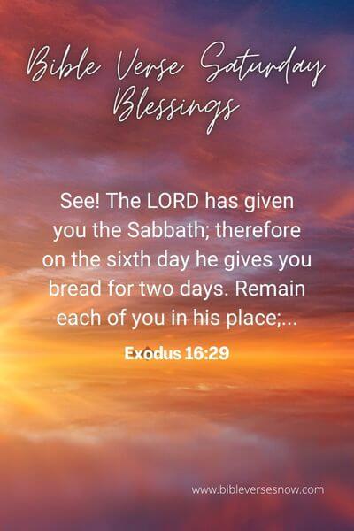 Exodus 16_29