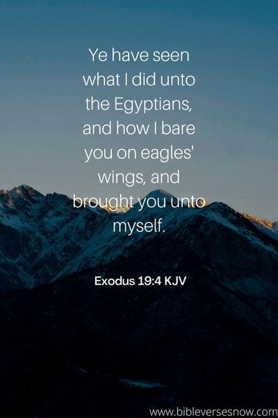 Exodus 19_4 KJV