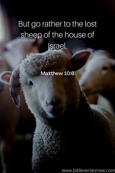 Matthew 10_6