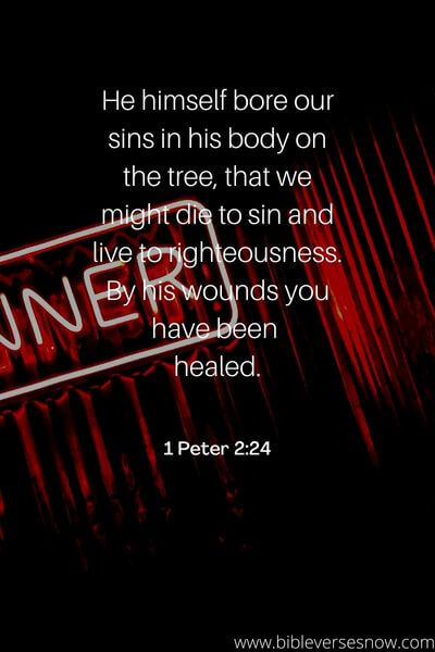 1 Peter 2_24