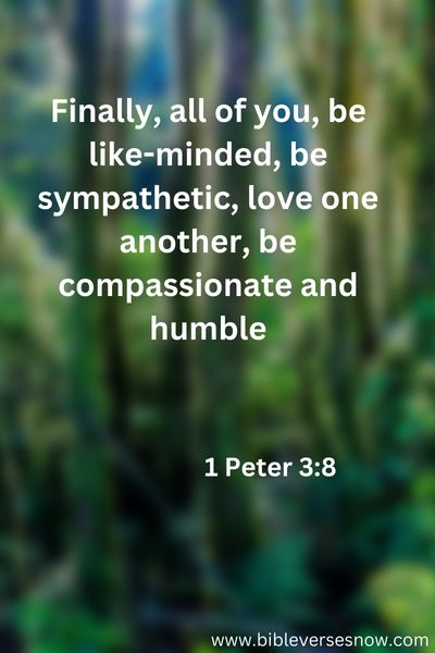 1 Peter 3 8