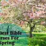 40 Best Bible Verses For Spring