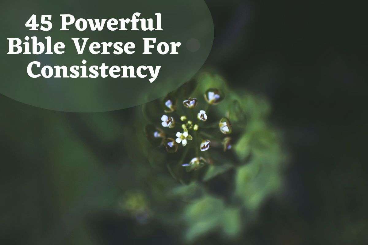 45 Powerful Bible Verse For Consistency