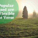 50 Popular Blessed are the Flexible Bible Verse