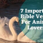 7 Important Bible Verses For Animal Lovers