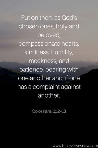 Colossians 3_12-13