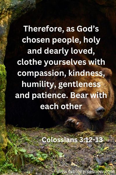 Colossians 3 12 13