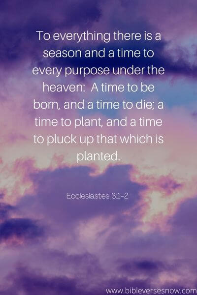 Ecclesiastes 3_1-2 
