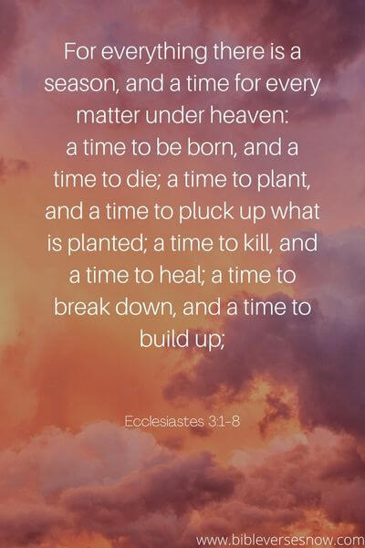 Ecclesiastes 3_1-8