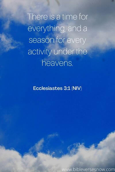 Ecclesiastes 3_1 (NIV)